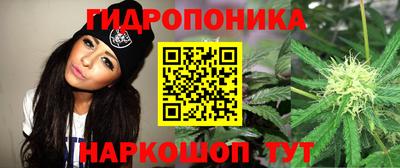 круглые Камышлов